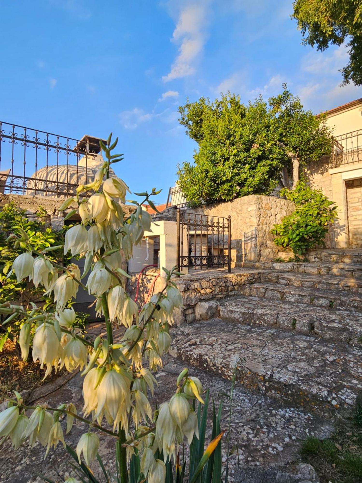 הוילה מאלי דרבניק Authentic House Pelegrinka מראה חיצוני תמונה